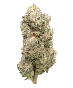 AAAA Tropicanna Tangerine : 🏆 Cup Winning Sativa | LSO