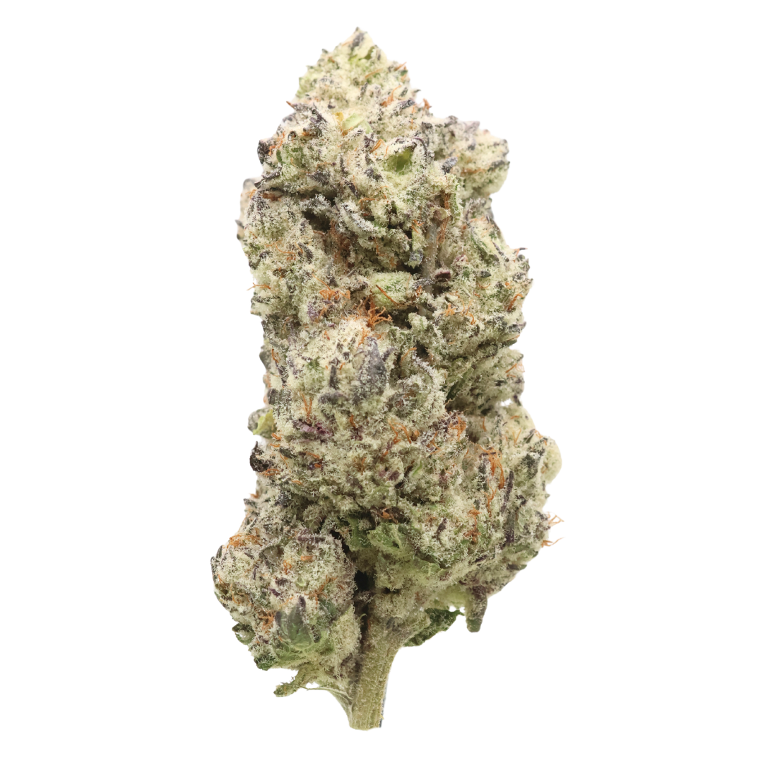 AAAA Tropicanna Tangerine : 🏆 Cup Winning Sativa | LSO