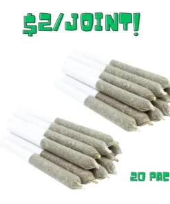 TOONIE DOOBIES (20/Pack)