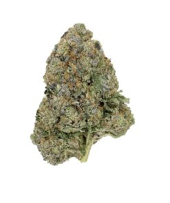 AA Pink Bubba