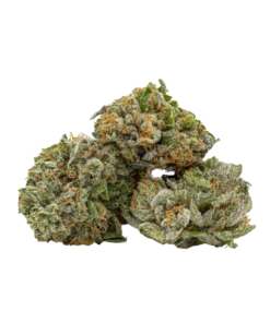 AAA Miracle Alien Cookies Smalls - May Deal
