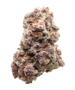 AAAA Amethyst By Kootney Exotics - Karma cup Winner 🏆