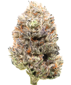 🏆 1st  Place Sativa Cup : AAAA Amnesia Haze | LSO