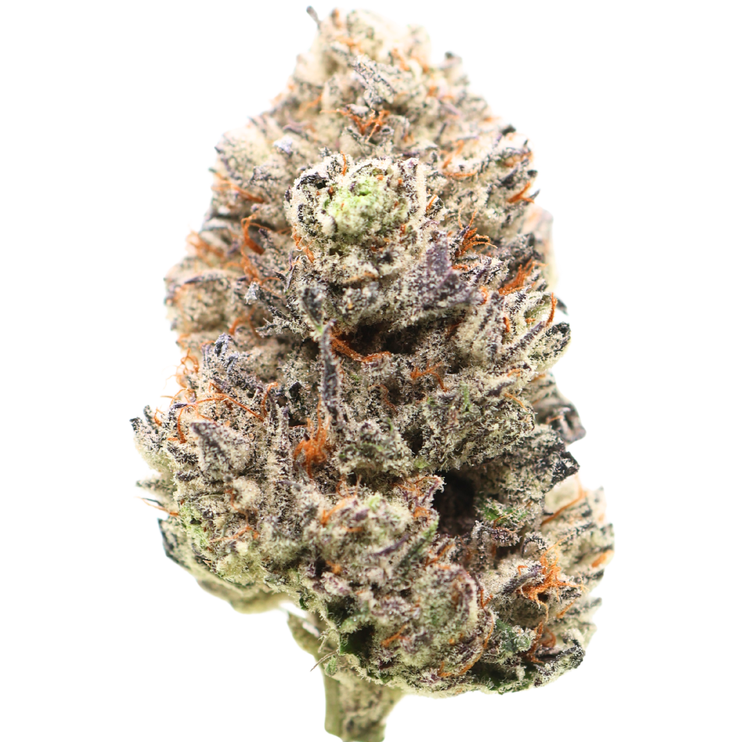 🏆 1st Place Sativa Cup : AAAA Amnesia Haze | LSO