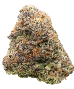 AAAA Biscotti Cream By Jungle Boys