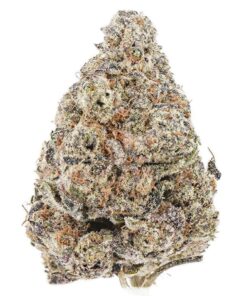 AA Black Domina