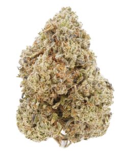 AA Gorilla Glue