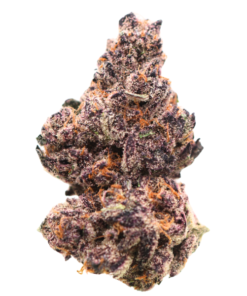 🏆 #1 Karma Cup: AAAA Apple Fritter