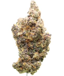 🏆 #1 AAAA Oklahoma Coma – Karma Cup Winner