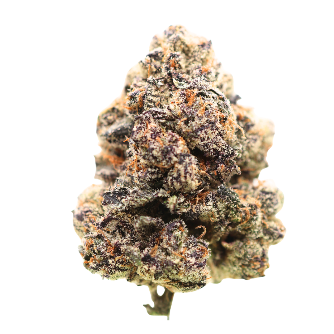 🏆 #1 Karma Cup: AAAA Purple Gusher