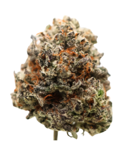 AAA Mendo Breath